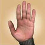 владимир-нетунаев-дизайнер