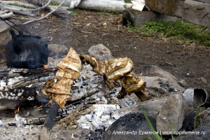 Запеченый хариус на рожнах
